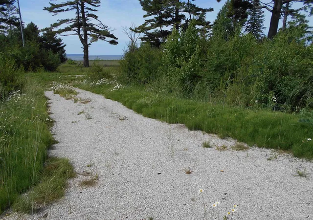 48th image of 16167 Us Hwy 2 Rd, Cooks, MI 49817 | MLS# 50204933