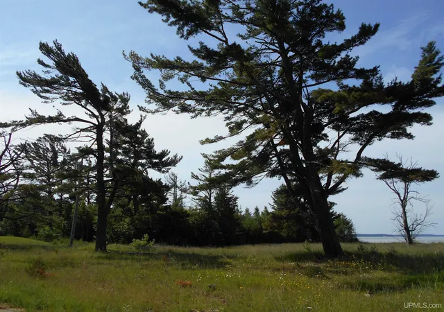 4th image of 16167 Us Hwy 2 Rd, Cooks, MI 49817 | MLS# 50204933