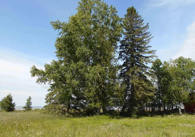 5th image of 16167 Us Hwy 2 Rd, Cooks, MI 49817 | MLS# 50204933