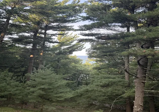 Photo 1 of Land for sale at Lot G Hemlock Trl, Shelby, MI 49455 | MLS# 70513697 | Listing updated on 2026-09-05