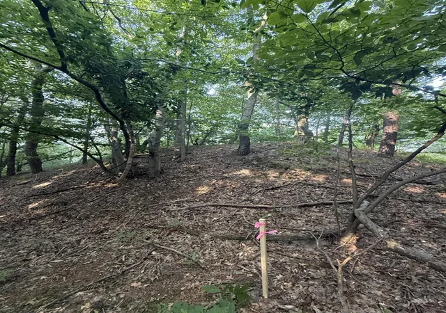 Photo 3 of Land for sale at Lot G Hemlock Trl, Shelby, MI 49455 | MLS# 70513697 | Listing updated on 2026-09-05