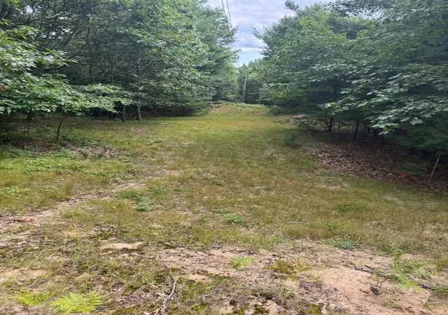 Photo 4 of Land for sale at Lot G Hemlock Trl, Shelby, MI 49455 | MLS# 70513697 | Listing updated on 2026-09-05