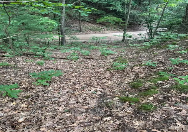 Photo 5 of Land for sale at Lot G Hemlock Trl, Shelby, MI 49455 | MLS# 70513697 | Listing updated on 2026-09-05