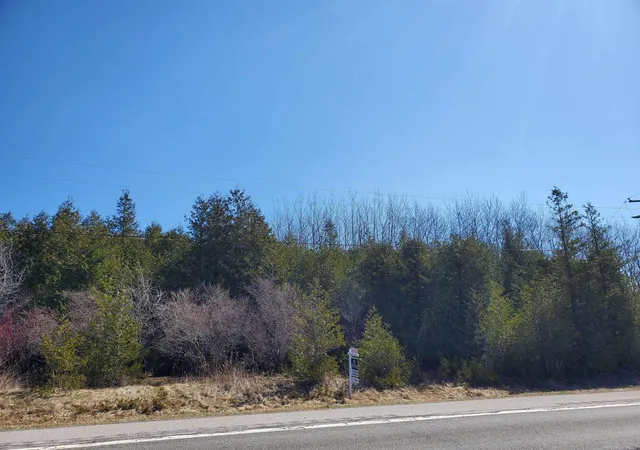 3rd image of Vl S Lakeshore Rd, Harbor Beach, MI 48441 | MLS# 50204643