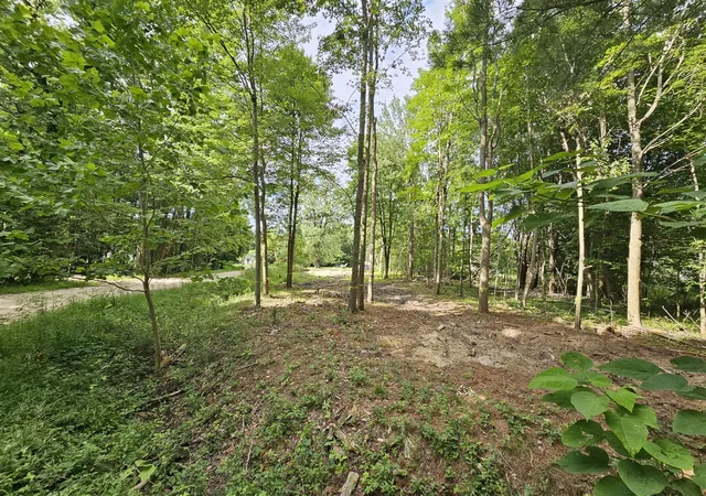 Photo 3 of Land for sale at Miami Ave, Grand Junction, MI 49056 | MLS# 70548098 | Listing updated on 2026-07-25