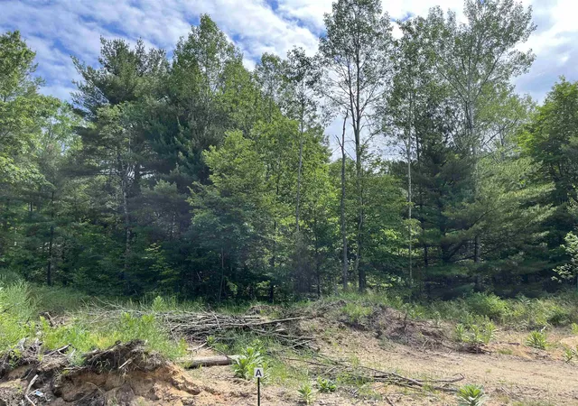 Photo 3 of Land for sale at Parcel A Hoosier Flats Rd, Traverse City, MI 49685 | MLS# 80072232 | Listing updated on 2026-08-15