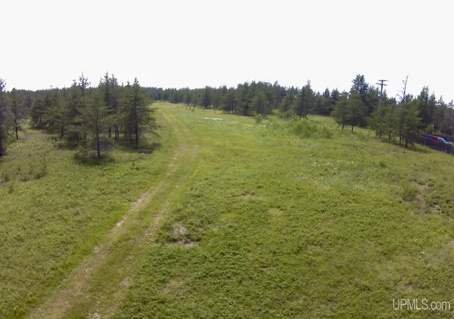 Photo 2 of Land for sale at Tbd E Airfield Rd, Gwinn, MI 49841 | MLS# 50195377 | Listing updated on 2026-09-04