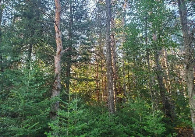 Photo 2 of Sale Pending at 5172 S M 33, Alger, MI 48610 | MLS# 80072821 | Listing updated on 2026-09-16