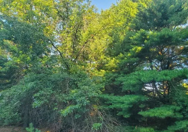 Photo 3 of Sale Pending at 5172 S M 33, Alger, MI 48610 | MLS# 80072821 | Listing updated on 2026-09-16