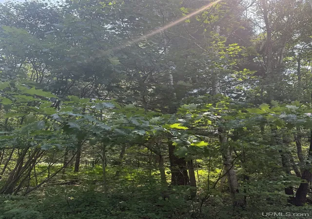 Photo 2 of Land for sale at 562 S Rice Lake Rd, Gwinn, MI 49841 | MLS# 50216434 | Listing updated on 2026-08-26