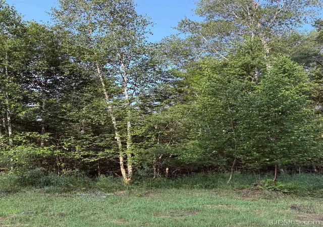 Photo 7 of Land for sale at 562 S Rice Lake Rd, Gwinn, MI 49841 | MLS# 50216434 | Listing updated on 2026-08-26
