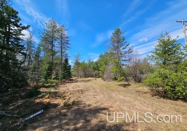 Homes for sale in Ishpeming, MI | Tbd Us 41 Hwy, Ishpeming, MI 49849 | MLS# 50214860