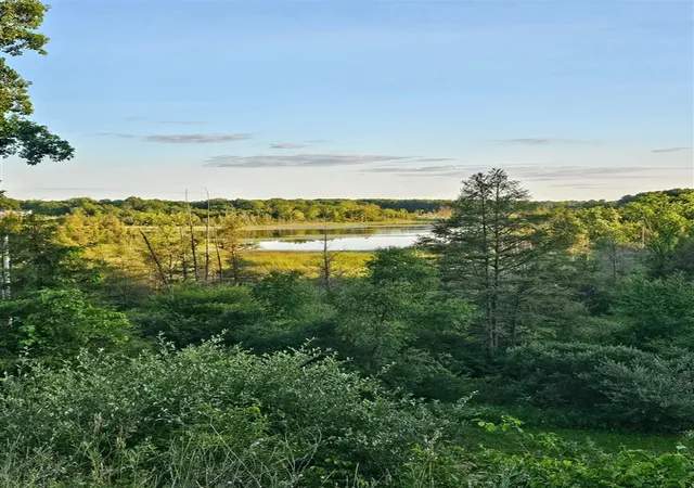 Photo 1 of Land for sale at 5464 Clear Lake Rd, Grass Lake, MI 49240 | MLS# 70547894 | Listing updated on 2026-09-17