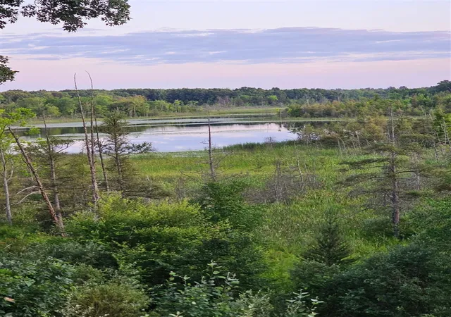 Photo 2 of Land for sale at 5464 Clear Lake Rd, Grass Lake, MI 49240 | MLS# 70547894 | Listing updated on 2026-09-17