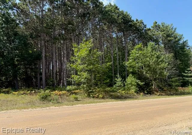 Photo 1 of Land for sale at 10399 85th Ave, Mecosta, MI 49332 | MLS# 61023822 | Listing updated on 2026-08-23
