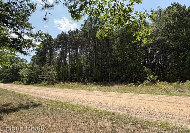 Photo 2 of Land for sale at 10399 85th Ave, Mecosta, MI 49332 | MLS# 61023822 | Listing updated on 2026-08-23
