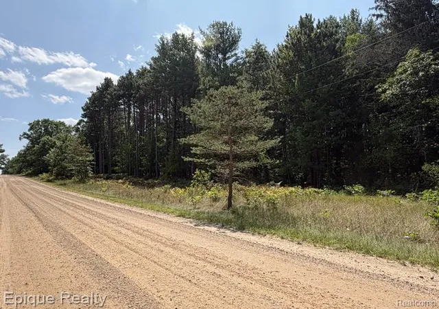 Photo 3 of Land for sale at 10399 85th Ave, Mecosta, MI 49332 | MLS# 61023822 | Listing updated on 2026-08-23