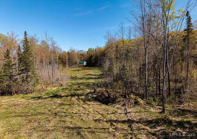 Homes for sale in Marenisco, MI | On Mill St, Marenisco, MI 49947 | MLS# 50213382