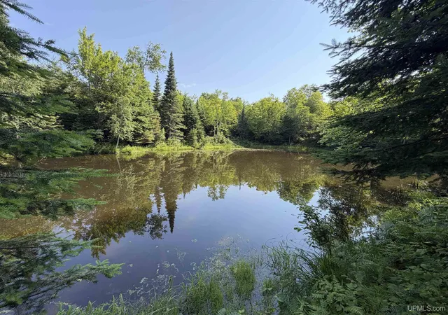 Homes for sale in Pelkie, MI | 14598 Arnheim Rd, Pelkie, MI 49958 | MLS# 50213519
