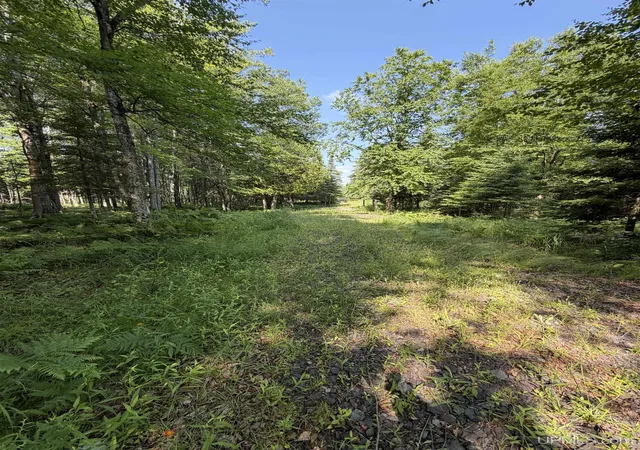 Homes for sale in Pelkie, MI | 14598 Arnheim Rd, Pelkie, MI 49958 | MLS# 50213519