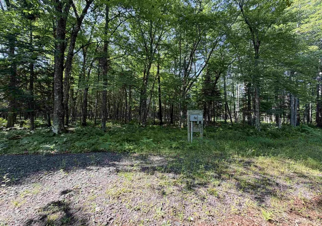 Homes for sale in Pelkie, MI | 14598 Arnheim Rd, Pelkie, MI 49958 | MLS# 50213519