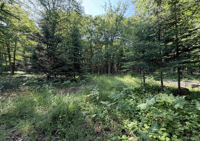 Homes for sale in Pelkie, MI | 14598 Arnheim Rd, Pelkie, MI 49958 | MLS# 50213519