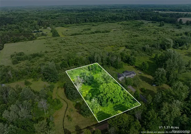 Homes for sale in Vassar, MI | #0078 V/l Natures Nest Rd, Vassar, MI 48768 | MLS# 60976351