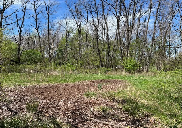Photo 3 of Land for sale at 106 W Washington St, New Buffalo, MI 49117 | MLS# 70515199 | Listing updated on 2026-08-17