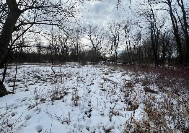 4th image of 106 W Washington St, New Buffalo, MI 49117 | MLS# 70515199