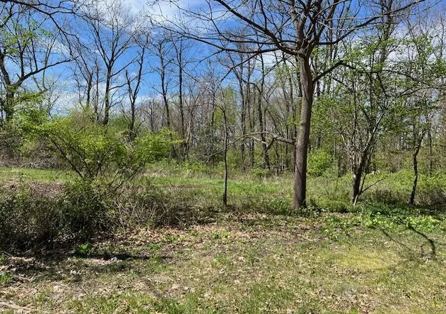 Photo 4 of Land for sale at 106 W Washington St, New Buffalo, MI 49117 | MLS# 70515199 | Listing updated on 2026-08-17