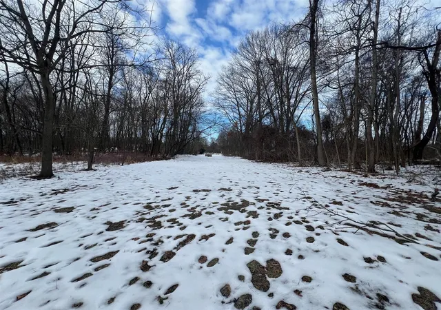6th image of 106 W Washington St, New Buffalo, MI 49117 | MLS# 70515199
