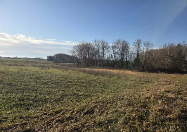 Homes for sale in Rothbury, MI | Vl W Arthur Rd, Rothbury, MI 49452 | MLS# 70525305