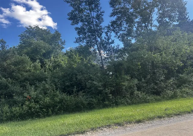 Photo 2 of Land for sale at W Ranger Rd, Perrinton, MI 48871 | MLS# 70524596 | Listing updated on 2026-08-15