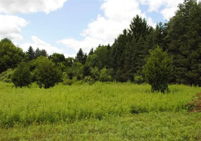 Photo 4 of Land for sale at 3173 Luna Dr, Dexter, MI 48130 | MLS# 70554826 | Listing updated on 2026-08-26