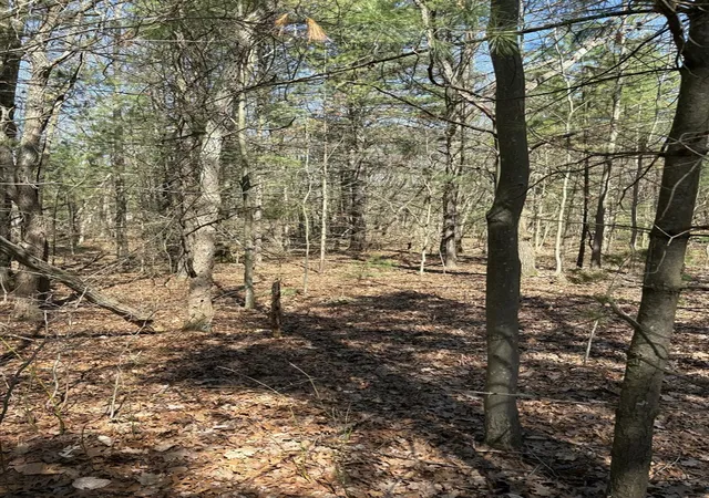 2nd image of V/l Fenner Rd, Muskegon, MI 49445 | MLS# 70526819
