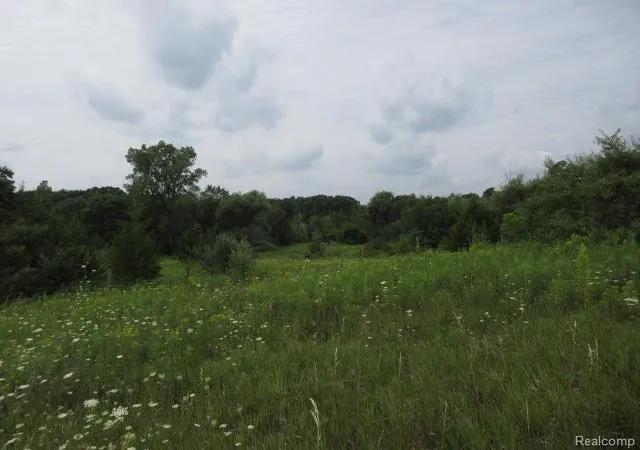 Photo 3 of Sale Pending at 00 Hickory Ridge Rd, Fenton, MI 48430 | MLS# 60928555 | Listing updated on 2025-08-21