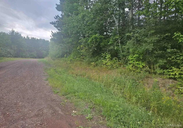 Photo 2 of Land for sale at Tbd Lot 19 Summit View Dr, Bessemer, MI 49911 | MLS# 50202153 | Listing updated on 2026-09-22