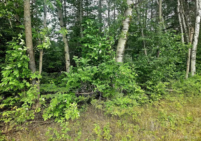 Photo 3 of Land for sale at Tbd Lot 19 Summit View Dr, Bessemer, MI 49911 | MLS# 50202153 | Listing updated on 2026-09-22