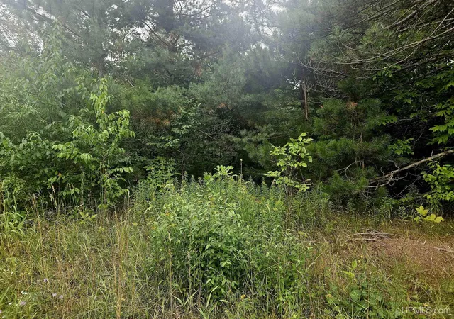 Photo 4 of Land for sale at Tbd Lot 19 Summit View Dr, Bessemer, MI 49911 | MLS# 50202153 | Listing updated on 2026-09-22