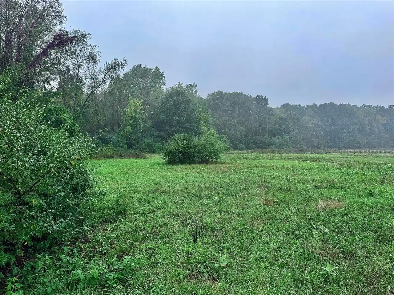 Photo 1 of Land for sale at V/l 65th Street, Fennville, MI 49408 | MLS# 70566567 | Listing updated on 2026-10-27