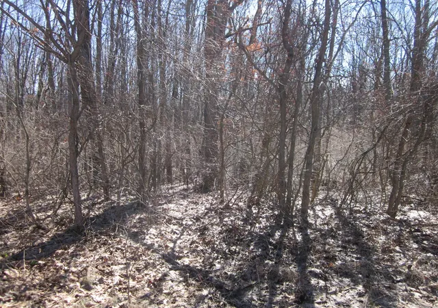 Photo 3 of Land for sale at 44th Avenue, Mattawan, MI 49071 | MLS# 70533079 | Listing updated on 2026-06-25