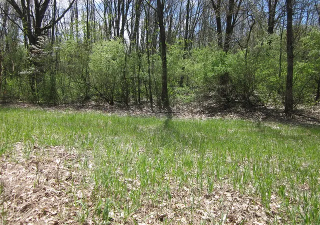 Photo 3 of Land for sale at 44th Avenue, Mattawan, MI 49071 | MLS# 70533079 | Listing updated on 2026-06-25