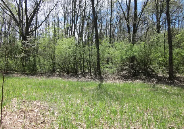 Photo 4 of Land for sale at 44th Avenue, Mattawan, MI 49071 | MLS# 70533079 | Listing updated on 2026-06-25