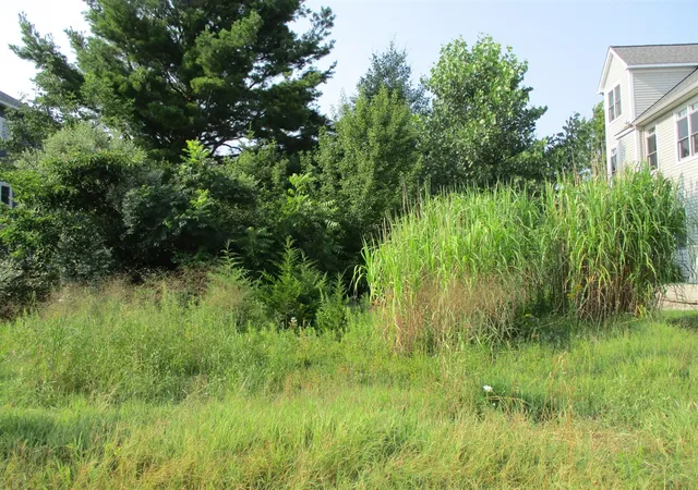 Photo 3 of Land for sale at 7237 Lakeview Ave, South Haven, MI 49090 | MLS# 70519751 | Listing updated on 2026-07-29