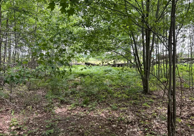 Photo 4 of Land for sale at Vl Pierce St, West Olive, MI 49460 | MLS# 70539294 | Listing updated on 2026-09-14