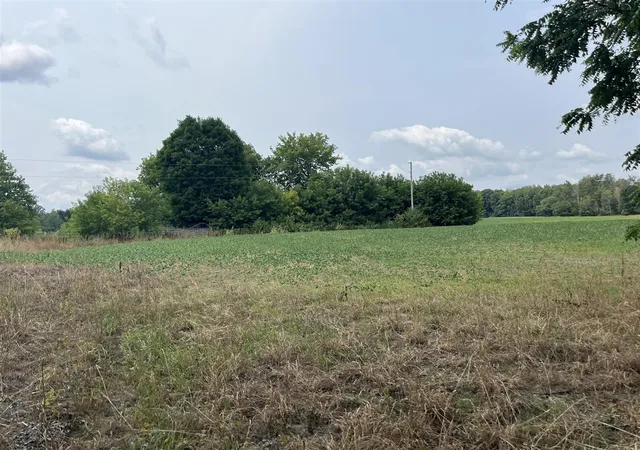 Photo 2 of Land for sale at 2047 190th Avenue, Morley, MI 49336 | MLS# 70549681 | Listing updated on 2026-08-04