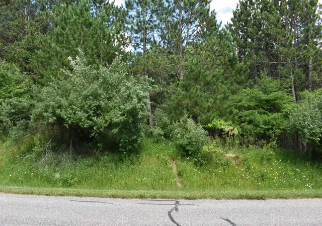 Photo 4 of Land for sale at Lot 10 & 11 Knights Way, Gladwin, MI 48624 | MLS# 50205188 | Listing updated on 2026-08-11