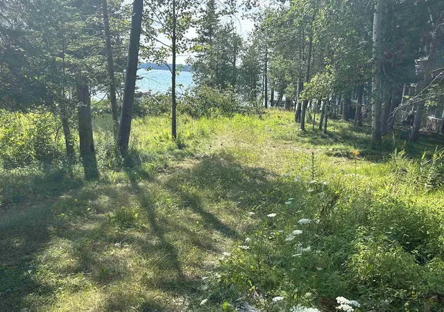 Land for sale at Lots 5 & 20 Wak Wing Dr, Central Lake, MI 49622 | MLS# 80071982