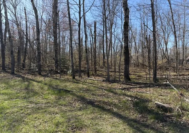 Photo 1 of Land for sale at Lot 183 186 Shadowbrook Dr, Lake, MI 48632 | MLS# 50206447 | Listing updated on 2026-06-08