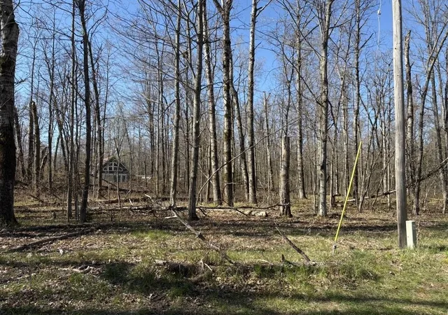 Photo 2 of Land for sale at Lot 183 186 Shadowbrook Dr, Lake, MI 48632 | MLS# 50206447 | Listing updated on 2026-06-08
